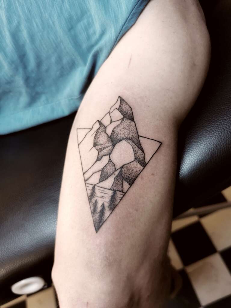 XV