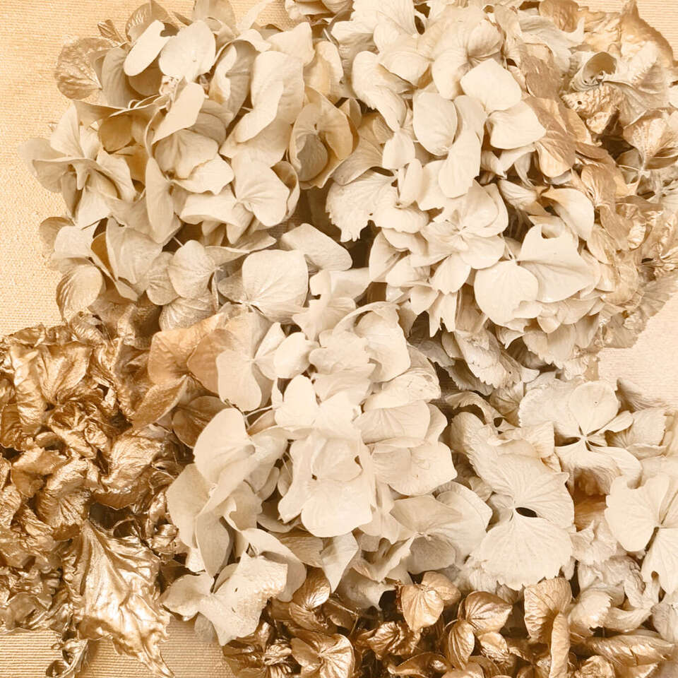 Water Flower Codings I