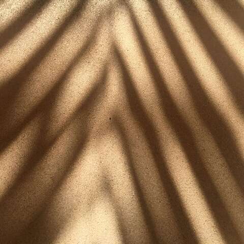 EMDR -&nbsp;die Champions League der Traumaarbeit